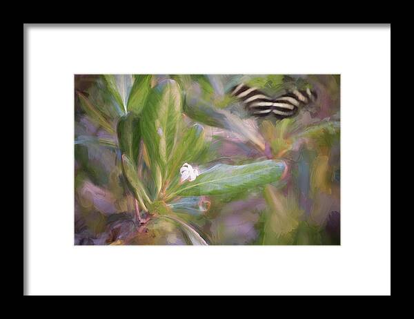 Butterfly Framed Print featuring the photograph Painterly Zebra Butterfly by Artful Imagery