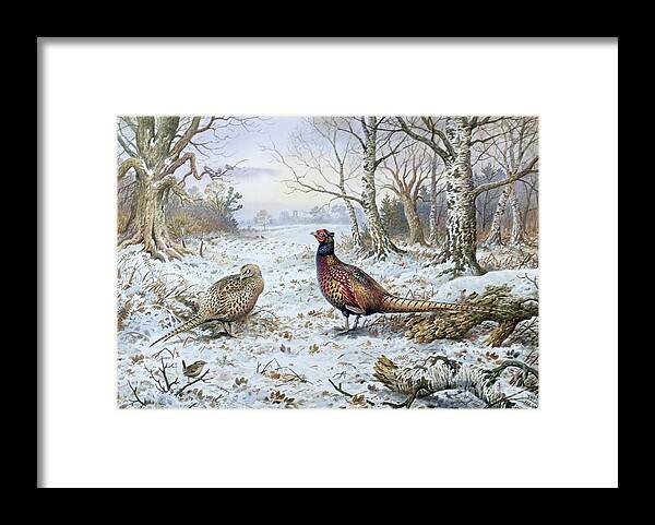 Game Bird; Snow; Woodland; Perdrix; Faisan; Troglodyte; Pheasant; Pheasants; Tree; Trees; Bird; Animals Framed Print featuring the painting Pair of Pheasants with a Wren by Carl Donner