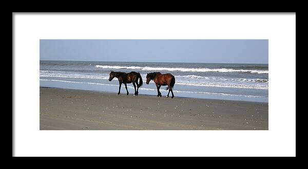 Ponies Framed Print featuring the photograph Palamino Ponies on the Beach by Jennifer Lycke
