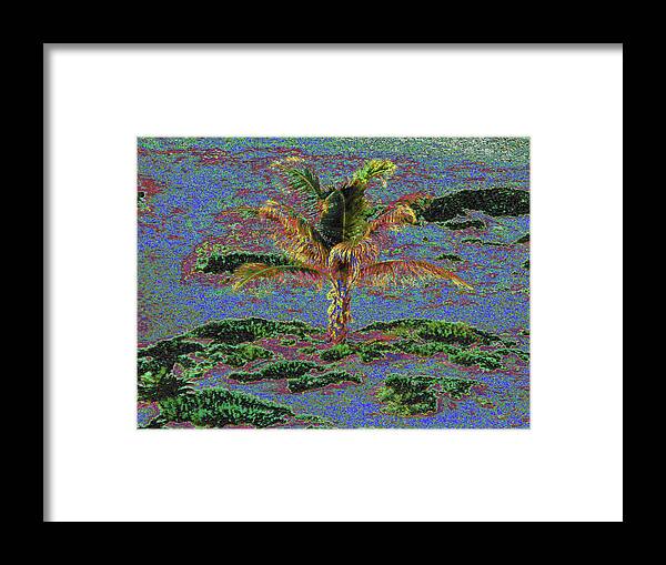Palm Tree Framed Print featuring the photograph Palm 1004 by Corinne Carroll