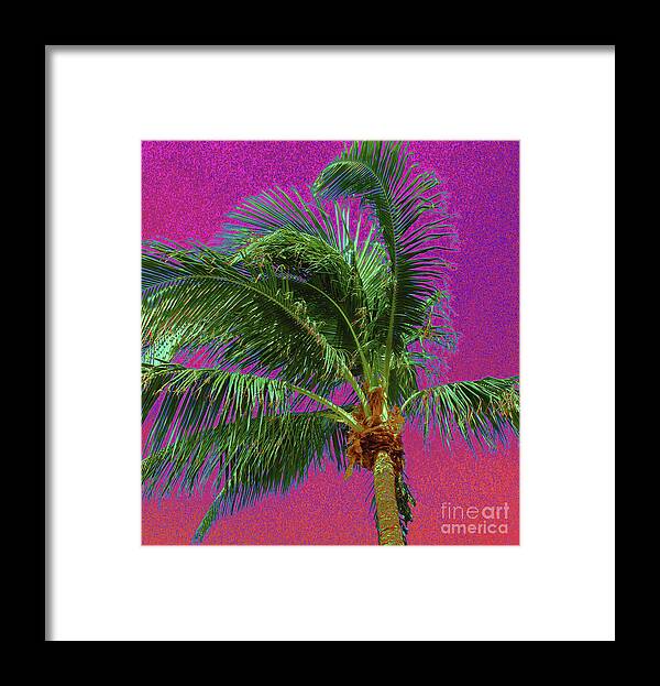 Palm Tree Framed Print featuring the photograph Palm 1012 by Corinne Carroll