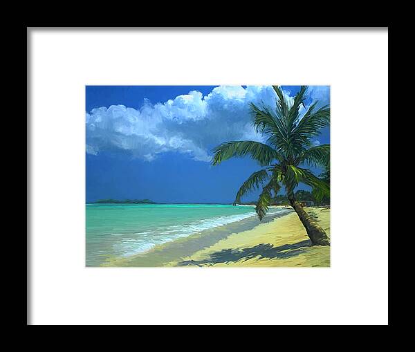 Florida Keys Framed Print featuring the painting Palm Beach in the Keys by David Van Hulst