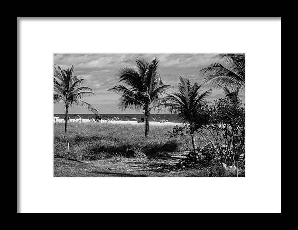 Framed Print featuring the photograph Palm Beach Road Trip by Susan Molnar
