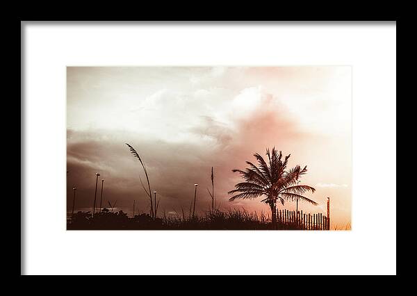 Florida Framed Print featuring the photograph Palm Fence Delray Beach Florida by Lawrence S Richardson Jr