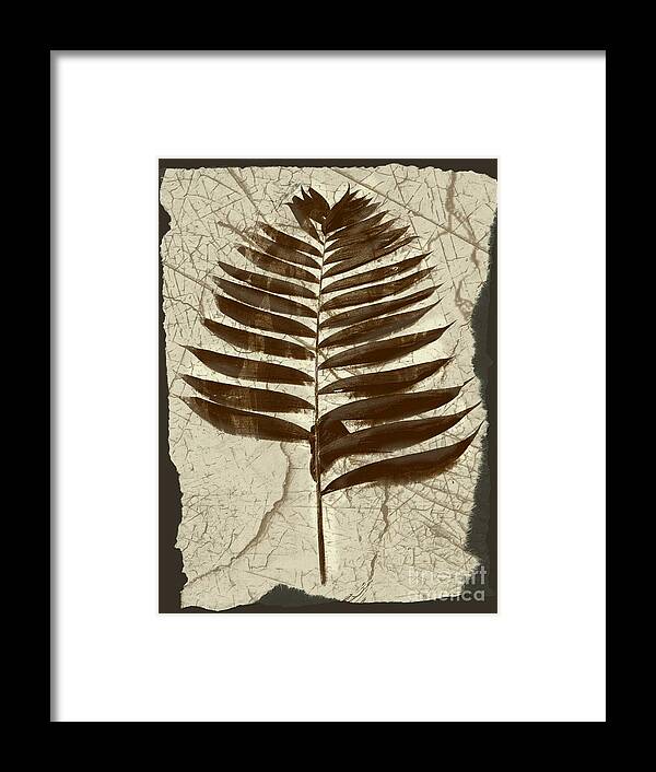 Photograph Framed Print featuring the digital art Palm Fossil Sandstone by Delynn Addams