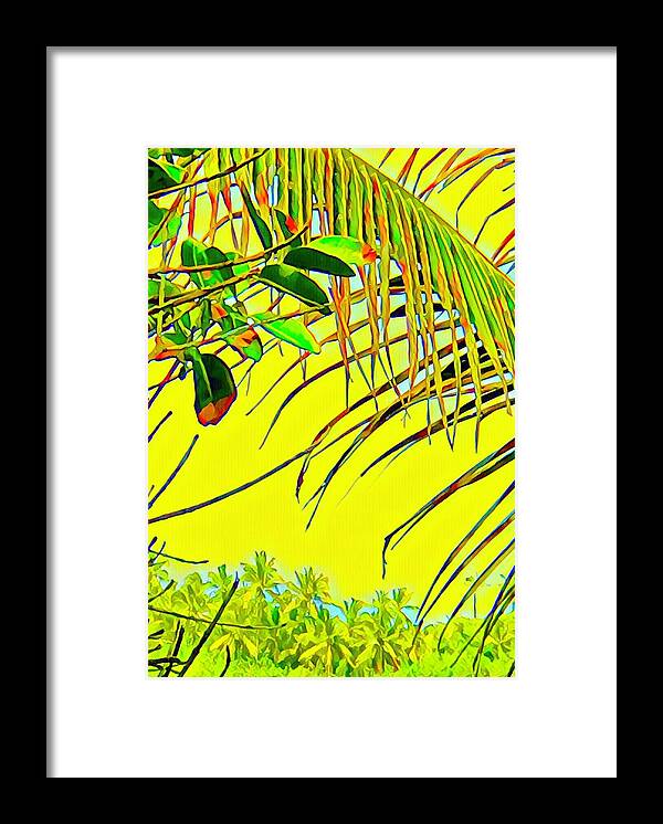 #flowersofaloha #palmfragment #yellow Framed Print featuring the photograph Palm Fragment in Yellow by Joalene Young