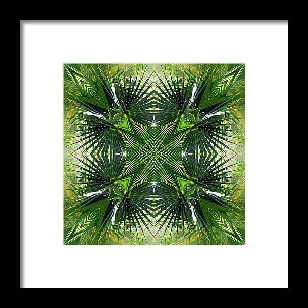 Palm Frond Fractured Kaleidoscope Design Pattern Leaf Tree Tropical Pieced Green Framed Print featuring the photograph Palm Frond Kaleidoscope by Frances Miller