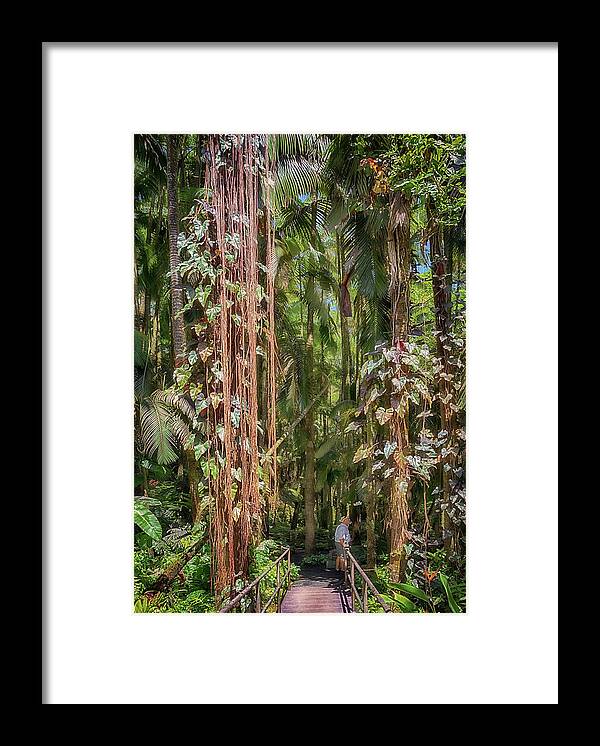 Palm Trees Framed Print featuring the photograph Palm Jungle by Susan Rissi Tregoning