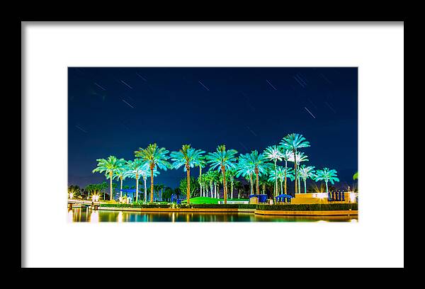 Palm Tree Framed Print featuring the photograph palm Trees by Hyuntae Kim