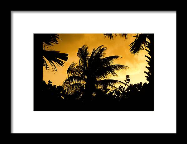 Sunset Framed Print featuring the photograph Palm trees in sunset by Wolfgang Stocker