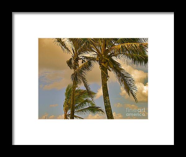 Landscape Framed Print featuring the photograph Palm Trees by Silvie Kendall