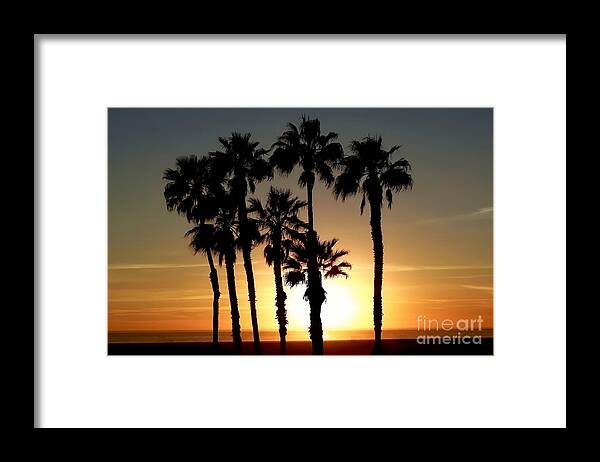 Palm Trees Framed Print featuring the photograph Palm Treescape at Sunset by Beth Myer Photography