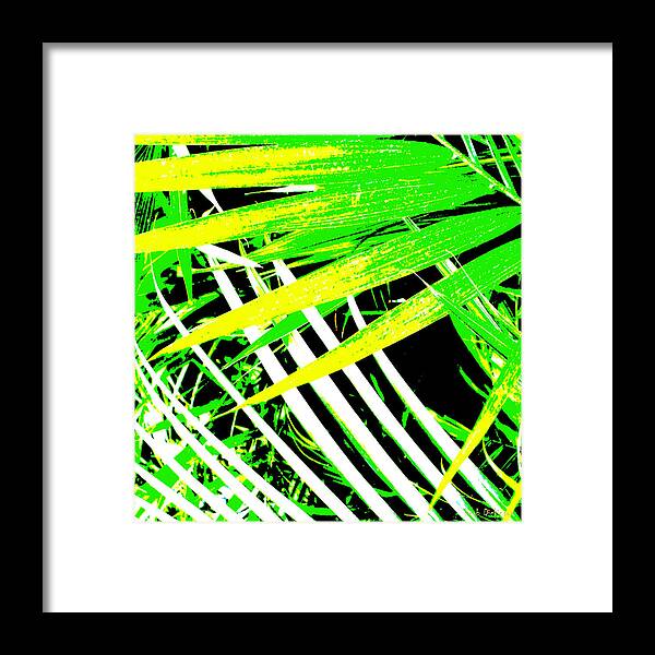 Palms Framed Print featuring the photograph Palms Away I by Herb Dickinson