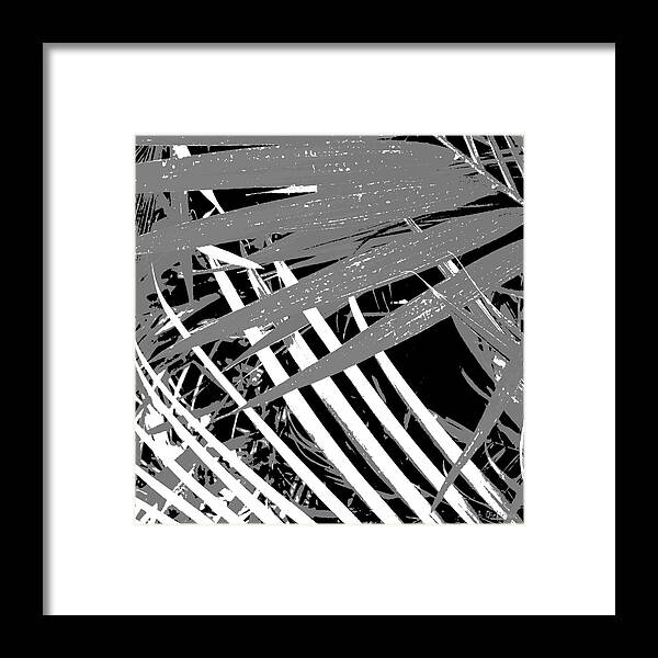 Palms Framed Print featuring the photograph Palms Away VII by Herb Dickinson