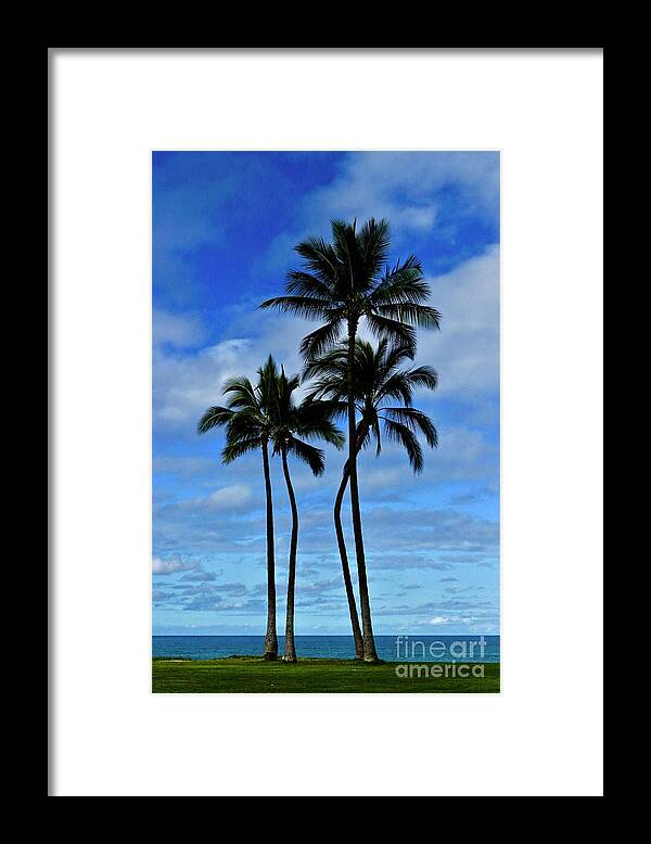 Palms Framed Print featuring the photograph Palms Centerfold by Craig Wood