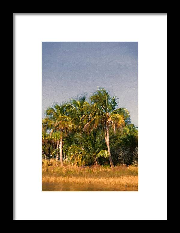 Palm Tree Framed Print featuring the photograph Palms - Naples Florida by Kim Hojnacki