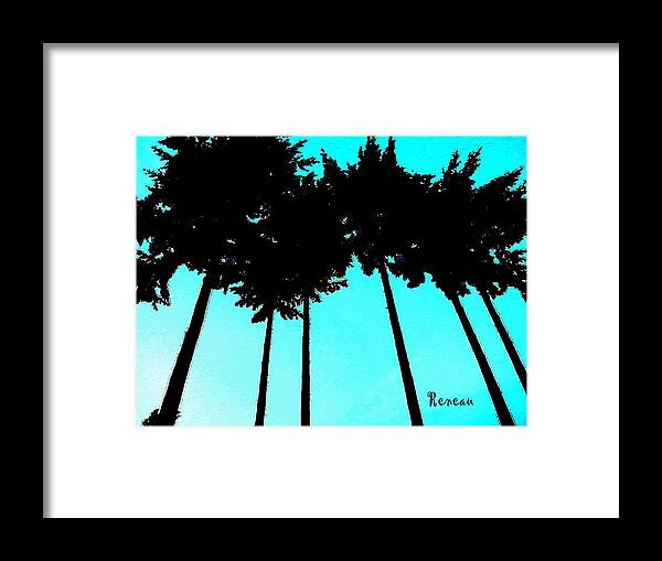 Trees Framed Print featuring the photograph Palms Up by A L Sadie Reneau