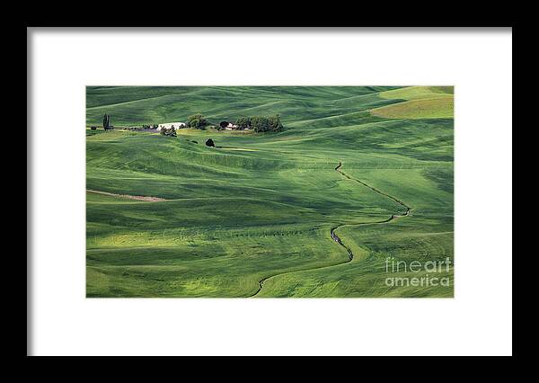 Aerial Framed Print featuring the photograph Palouse Green Fields by Jerry Fornarotto
