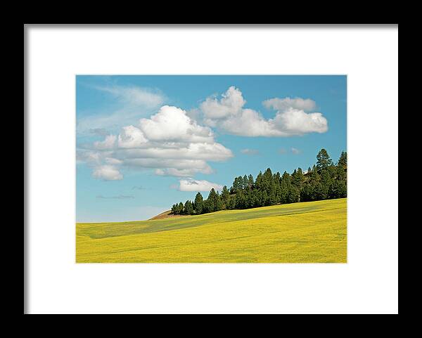 Outdoors Framed Print featuring the photograph Palouse Treeline by Doug Davidson