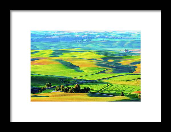 Landscape Framed Print featuring the photograph Palouse wheat field by Hisao Mogi