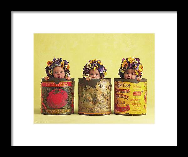 Pansy Framed Print featuring the photograph Pansy Tins by Anne Geddes
