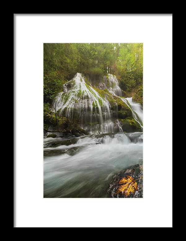 Panther Creek Framed Print featuring the photograph Panther Creek Falls in Fall Season by David Gn