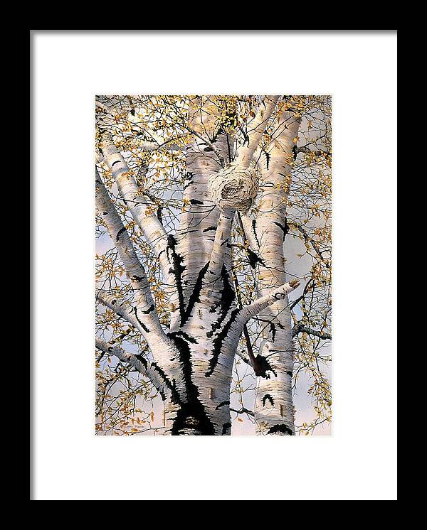 Birch Tree Framed Print featuring the painting Paper-Wasp Nest by Conrad Mieschke