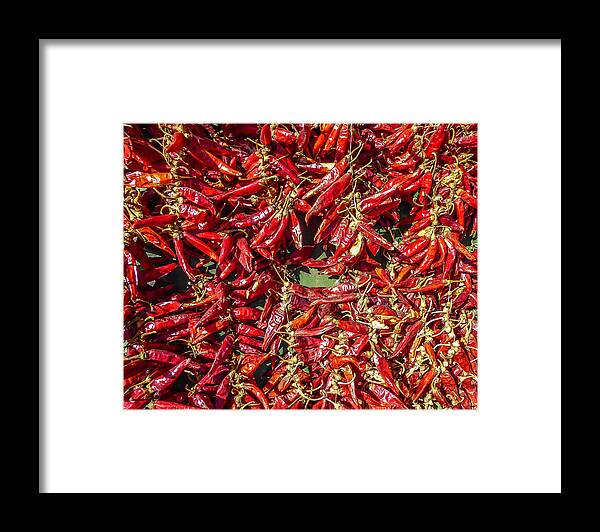 Paprika Framed Print featuring the photograph Paprika Passion by Pamela Newcomb