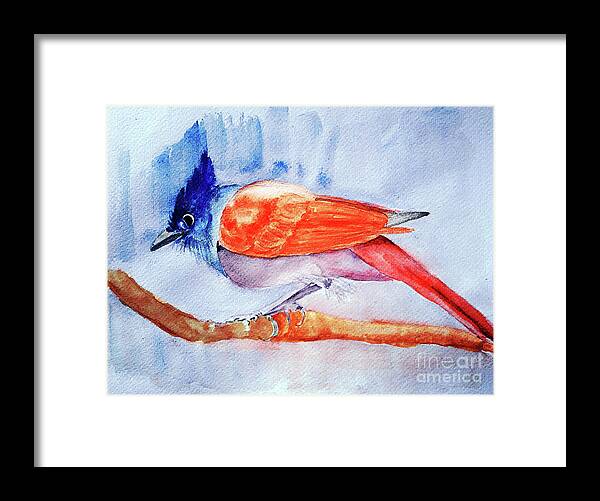 Paradise Flycatcher Framed Print featuring the painting Paradise Flycatcher by Jasna Dragun