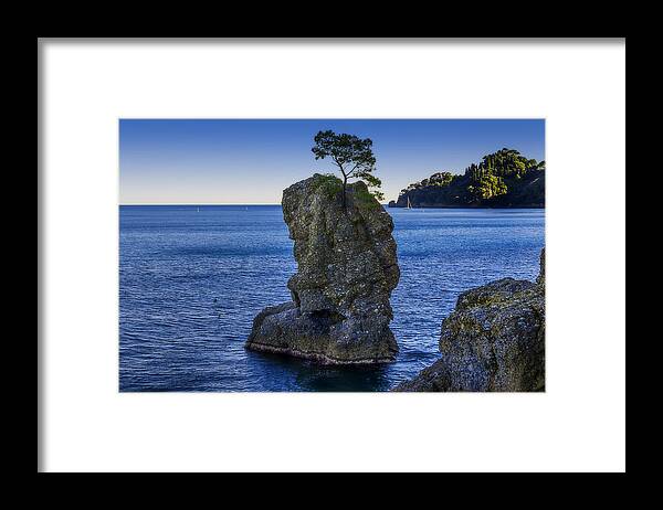 Paraggi Framed Print featuring the photograph Paraggi Portofino Bay And The Tree On The Rock by Enrico Pelos