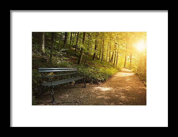 Park Bench Framed Print featuring the photograph Park Bench In Fall by Chevy Fleet
