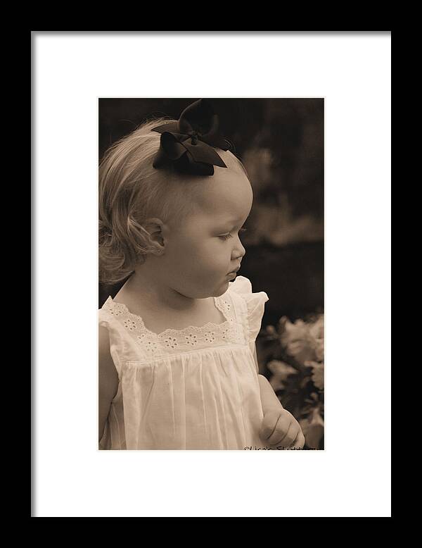  Framed Print featuring the photograph Parker by Lisa Johnston