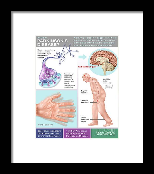 Illustration Framed Print featuring the photograph Parkinsons Brochure, Illustration by Gwen Shockey
