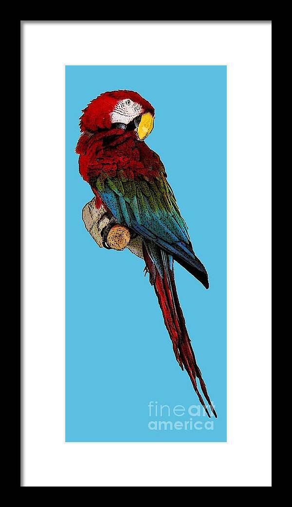 Digital Art Framed Print featuring the digital art Parrot Art by Francesca Mackenney