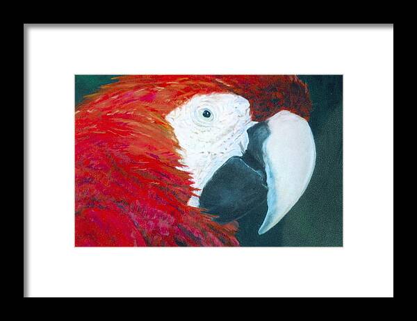 Parrot Framed Print featuring the painting Parrot by Deena Greenberg