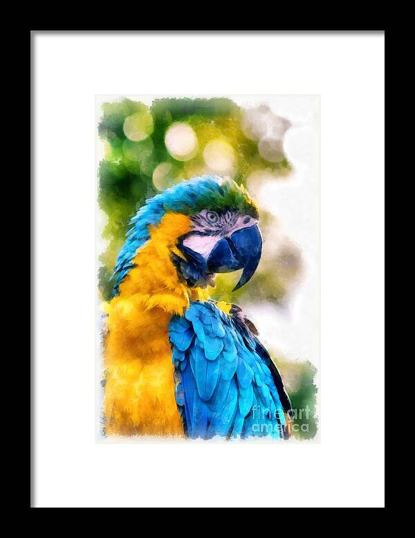 Bird Framed Print featuring the painting Parrot Watercolor by Edward Fielding
