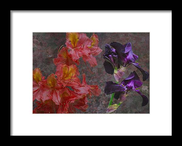 Floral Framed Print featuring the digital art Paso Doble by Eric Ewing