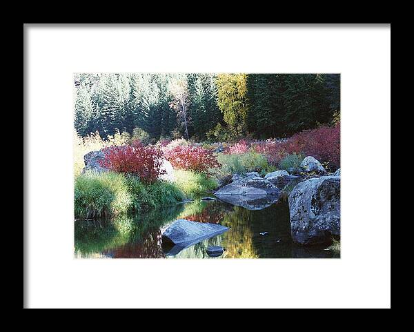 Autumn Framed Print featuring the photograph Pastel perfection III by Frank Larkin