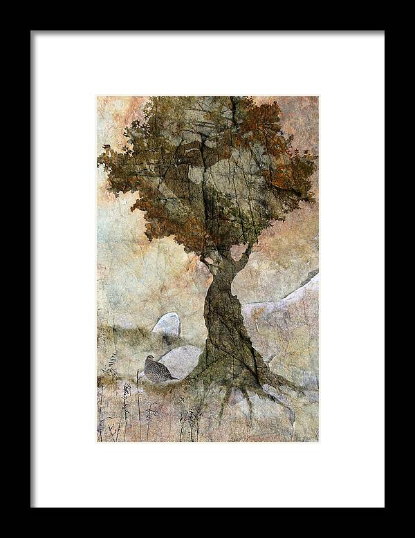 Tree Framed Print featuring the photograph Pastoria - Year of the Dragon by Ed Hall