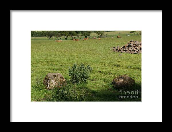 Beecraigs Framed Print featuring the photograph Pasture. by Elena Perelman