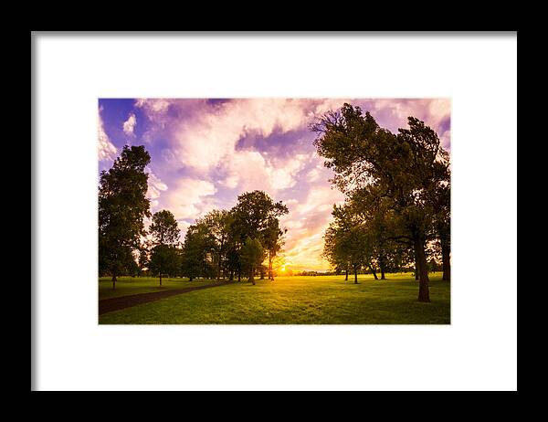 Buffalo Sunrise Framed Print featuring the photograph Path Between Mighty Oaks by Chris Bordeleau