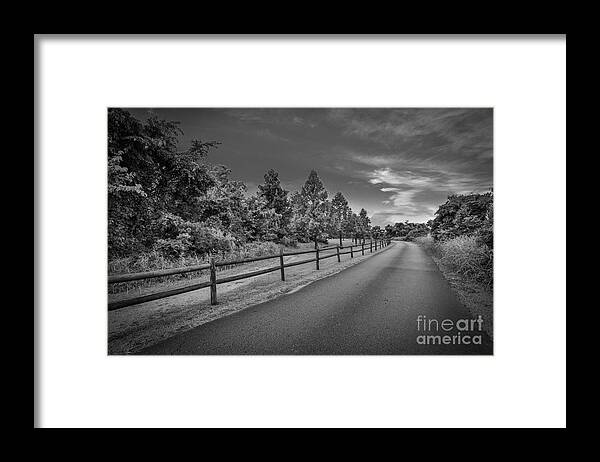Landscape Framed Print featuring the photograph Path - Black and White by Mina Isaac