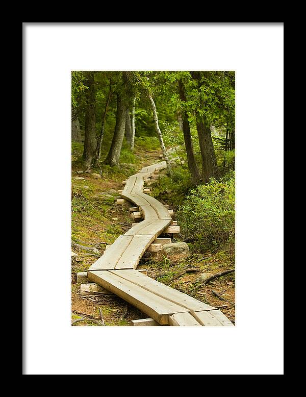 Forest Framed Print featuring the photograph Path Into Unknown by Sebastian Musial