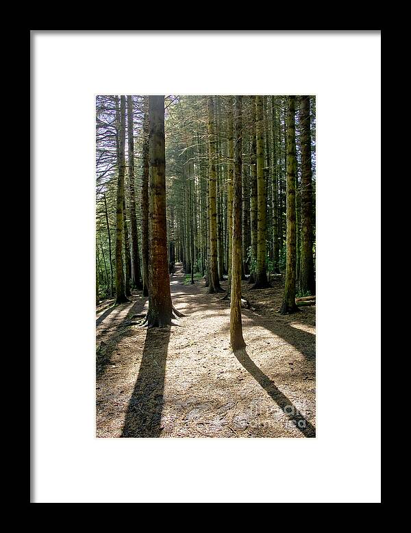 Beecraigs Framed Print featuring the photograph Path through the woods. by Elena Perelman