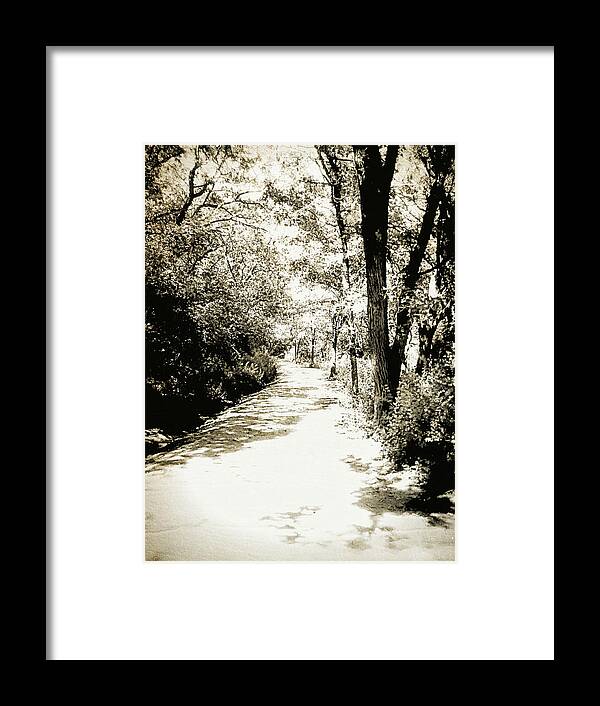  Forest Framed Print featuring the photograph Pathway by Julie Hamilton