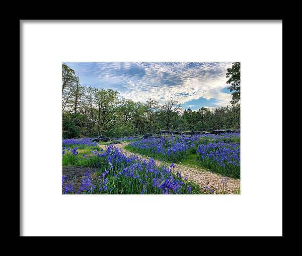 Path Framed Print featuring the photograph Pathway Through The Flowers by Brian Eberly