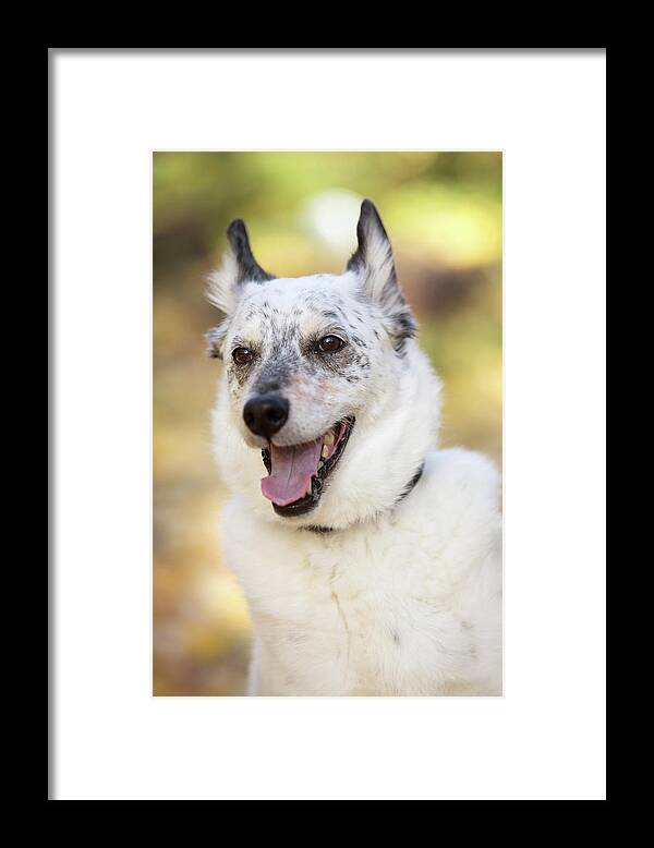 Bennu Framed Print featuring the photograph Patrick 22A by Rebecca Cozart