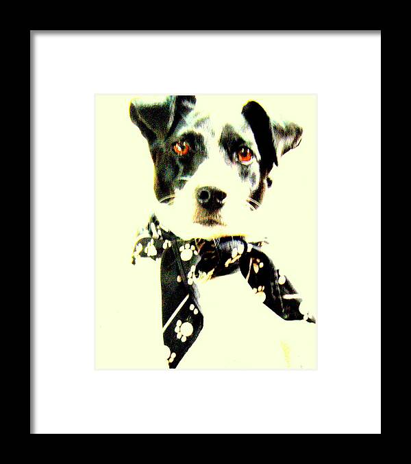 Terrier Framed Print featuring the photograph Paw Prints by Antonia Citrino