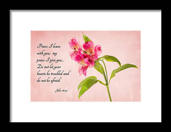 Flower Framed Print featuring the photograph Peace by Mary Jo Allen