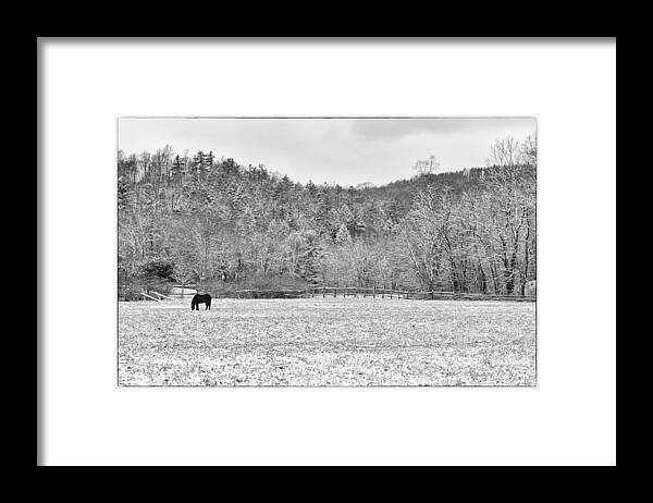Horse Framed Print featuring the photograph Peace on Earth by Monroe Payne